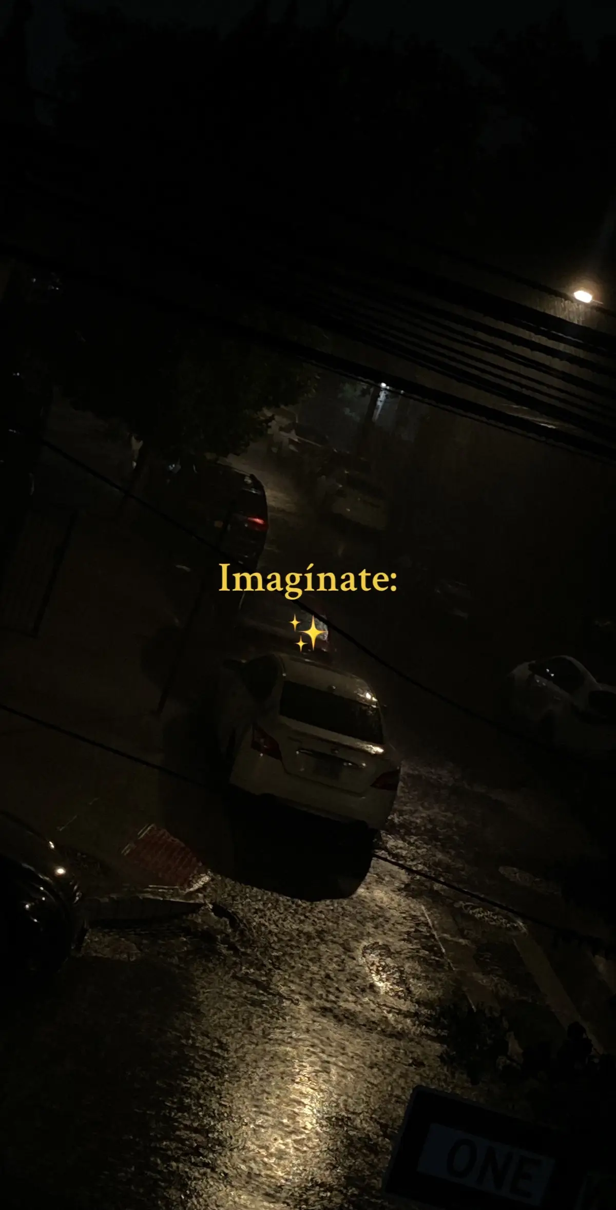 Imaginate ✨  #fypシ #viral #fyp #✨ #videoviral #foryou #parati 