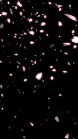Sakura blossoms Particles Overlay  #dust #particles #overlay #Blackscreen #darkscreen #capcut #snow #blackscreenvideo #bokehparticles #randombokeh #sakura 