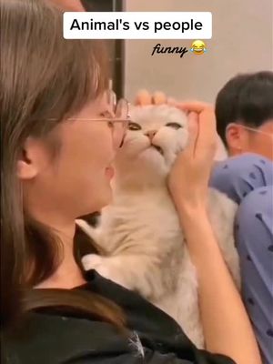 Funny moments of animals and pets#kitty#kittycat#cattok#kittensoftiktok#catsoftiktok  #kittens#funny