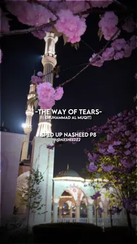 The Way of Tears #nasheed #nasheedsislamic #islamicvideo #nasheededit #muhammadalmuqitnasheed #muhammadalmuqit #muhammadalmuquit🔊 #thewayofthetears #thewayoftearsnasheed #muhammadalmuqitthewayofthetears 