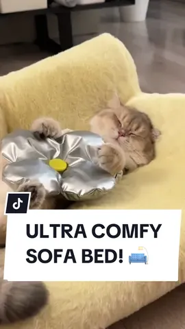 Get this Sofa Bed today to give your cat a super comfy bed! 😻✨