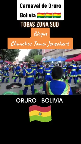 Carnaval de Oruro. Tobas Zona Sud. Bloque Chunchos Tamoi Jenecherú. Baile, danza, cultura y folclore. ORURO, Bolivia. #bolivia #sudamerica #america #bolivia🇧🇴 #danza #oruro #carnavaldeoruro #baile #tobas #tobassud #folclore #patrimonio 