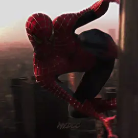 The Best Hero Ever #spiderman #tobeymaguire #andrewgarfield #tomholland #disneyplus #marvel_y_dccomics #fyp #parati #foryou 