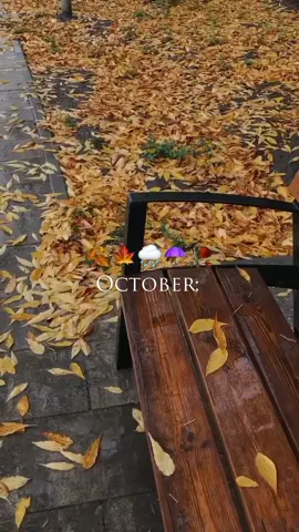 وعاد اكتوبر ✨🍁🍂.. #october #winter #autumn #تشرين #خريف #fypシ #foryou #explore 