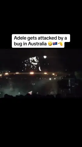 Meanwhile in Australia 🇦🇺🫡 We apologise for the bugs Adele…and the snakes, the sharks, the crocodiles, the spiders and of course the bogans 😂 #adele #adeletour #straya #meanwhileinaustralia #findingstellarmusic #musichistory #concert 