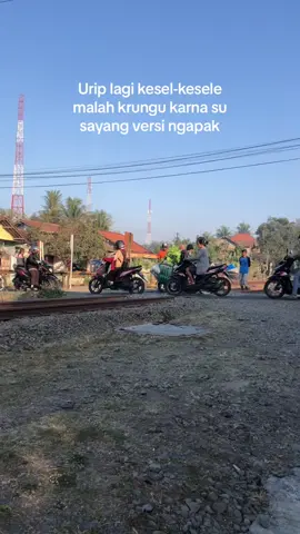 Markinyi😭 #cilacap #viral #cilacapngapak #cilacapride #jawatengah #story #storytime #ngapak 