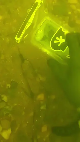 #underwater #treasure #treasurehunt #fyp