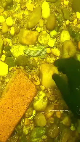 #underwater #treasure #treasurehunt #fyp