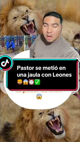 Pastor se mete en Jaula con Leones 😱🦁✅⏰#pastores  #leones  #viral  #parati  #fyp 