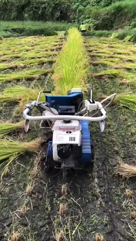 Super smart Robot 💯 #smartagriculture #robotic #agriculture 