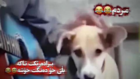 برادەرەكەت تاكە تا تاكتی نەكردوە 😅😂سەوت حلوو😂😂#فۆلۆم_بکەن #ittz_eesa #ئەكتيڤ_سفرە😔💔 #chamchamal 