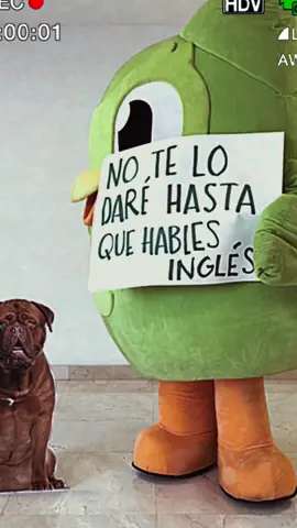 tú decides si lo quieres volver a ver