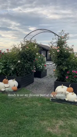 Ready to see my favorite part of the garden  #polywood #garden #gardening #gardentok #gardengoals #flowers #dahlias #fyp #gardendesign #pnwlife 