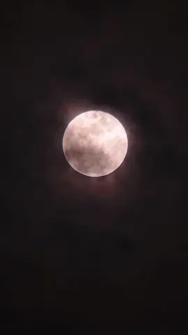 tenang dan tetap bersinar. 🧑‍🚀🌕
