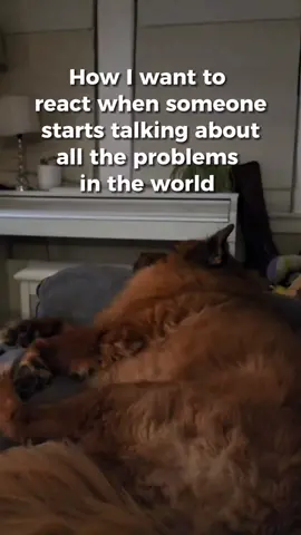 We don't deserve #dogs #politics 