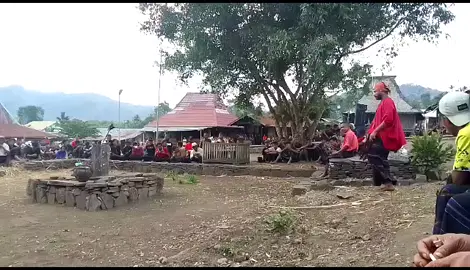 woge oleh mosalaki Ria bewa,dimana tarian ini di bawa oleh kepala adat yang menjabat sebagai mosalaki ria bewa. #mosalaki_ria_bewa #nttpride🏝🔥  #endelio  #wolofeo_detusoko😎😎😎😎🤟🤟🌾🌾🌾 