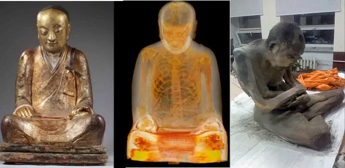 ⚠️TW⚠️Inside the ancient sculpture of Buddha, which is more than 1000 years old, scientists from Holland found a monk's skeleton. No one suspected that there could be a mummy in the statue. It was discovered completely by accident, as a result of the repair of the pedestal. When the collector bought the statue and gave it for restoration. Experts were very surprised when the skin and bones appeared from the base of the statue. And to find out everything, the Buddha was given a computed tomography that showed a sitting human skeleton inside the sculpture. #curiosity #science #medicaltok #medical #sciencetok #4u #facts 