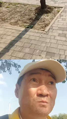 качели