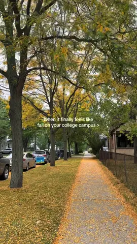 finally fall in ann arbor 🍂👏🎃 #college #fall #collegecampus #annarbor #michigan #umich #morningwalk #falldecorations #universityofmichigan #fyp 