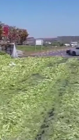 A stretch of a major highway in the GTA is closed after a truck that was carrying celery rolled over and spilled its contents onto the roadway. Ontario Provincial Police (OPP) are taking “stalk” of a crash involving a transport truck in the southbound lanes of Highway 400, south of Highway 9, in King Township. #citynews #news #ontario