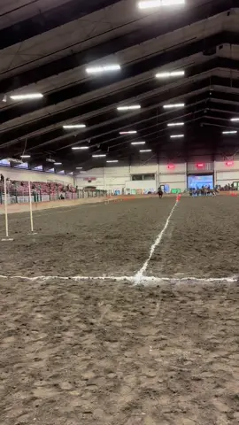 Half 8 #horses #horsesoftiktok #fyp #horsesoftiktok #western #foryou #horsesontiktok #cowgirlcheck #giddyup #cowgirl #horsegirl #speed #horse #barrelhorse #rodeo #barrelhorse #yeehaw #patternedspeedhorse #yeeyee 