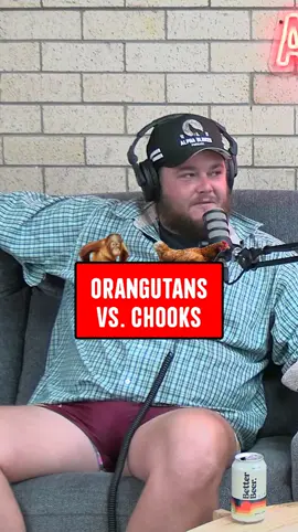 Would you rather fight a Chook every time you got in your car or an Orangutan with a sword once a year? #alphablokes #podcast #fyp #foryoupage 