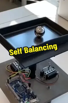 Self Balancing system #balancing #selfbalance #selfbalancing 