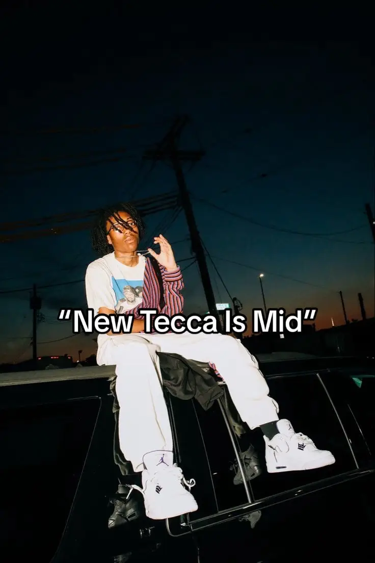 Tecca Revolution 🔥🔥#liltecca #music #foryou #fyp #wokst★rz #viral #reborn #hard 