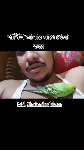 পাখিটা আমার সাথে খেলা করে#পাখি #পাখির_পাগল_বাকের_ভাই🐦 #trending #viral #viralvideo #typ #typviral #foryou #foryoupage #unfreezemyacount #@TikTok Bangladesh #@TikTok 