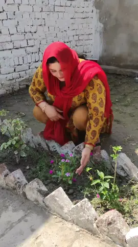 watch my full vlog on my YouTube channel Zoya Shoaib Vlogs #zoyashoaibvlogs #zoyashoaib #zoya 
