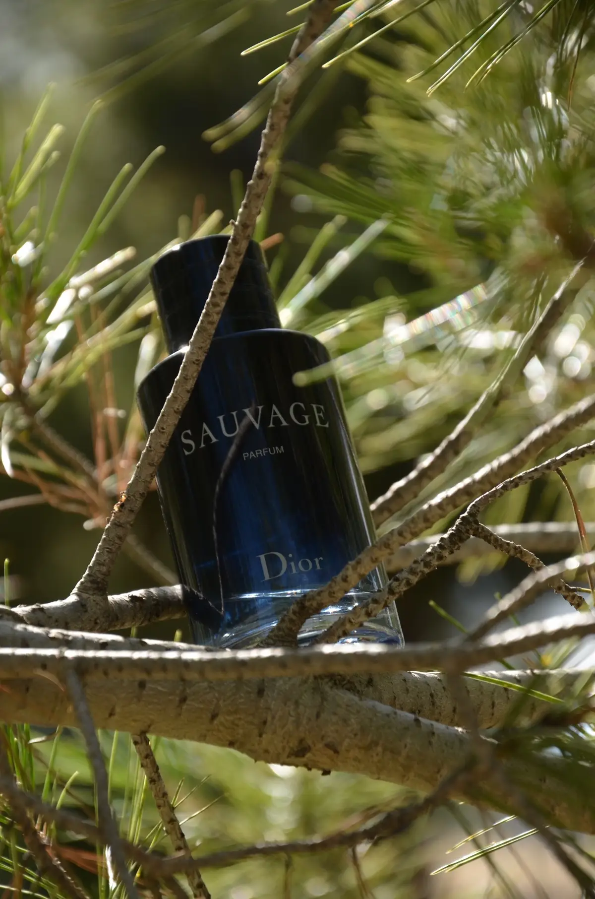 #productphotography #photoshoot #photography #nikoncreators #nikonphotography #dior #sauvage #newhobby #blue #colors #sunlight #greens #spain #castillalamancha #nofilter 