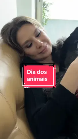 Hoje é o dia dos animais! Eu amo o meu! Meu cãopanheiro amado! E você tem algum animal em casa? E se não, qual é o seu bicho preferido? ❤️🦒❤️🐆❤️🐅❤️🦧❤️🦭❤️🦓 #diadosanimais #bolt #pet #cão #cachorro