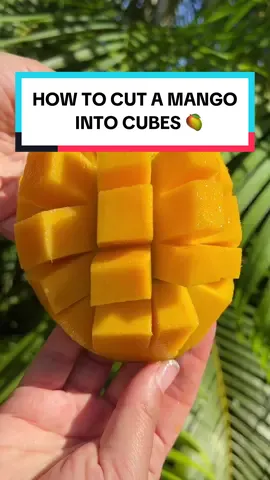How to cut a Mango into cubes: Step-by-Step Tutorial 🥭 Audio transcription: Here’s how to cut a mango into cubes, This is an effective way to remove the flesh from the pit without wasting much of the fruit and this method makes it easy to eat and it’s perfect if you’re making a mango salad or adding mango to your guacamole. cut off the sides of the mango, avoiding the pit in the center. Then, score the flesh in a grid pattern without cutting through the skin. For your safety, do this on your cutting board. Using a spoon, scoop out the fruit and look at that, the pit is pretty bare. #howtocutamango #fruithacks #Whole30