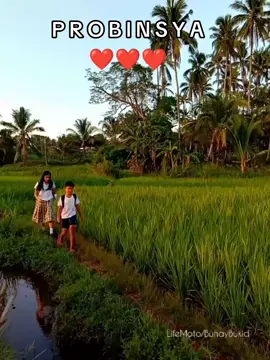 Proud taga probinsyan #buhayprobinsya #buhaybukid #pageforyou #fyp 