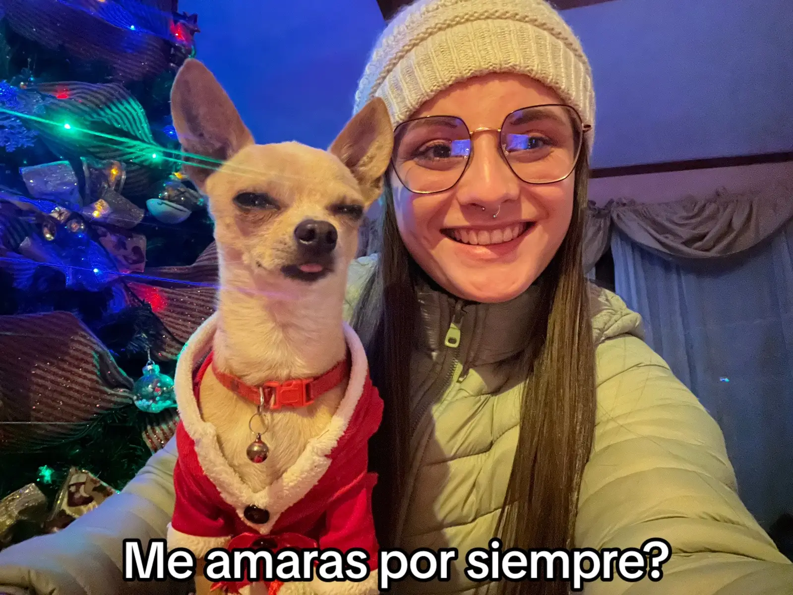 #porsiempre#oso#CR#chihuahua