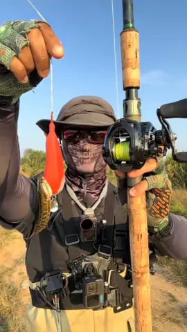 sự lợi hại của mồi ếch hơi #AntiFakeNews #mồicâu #fishing #Nhái #lure 