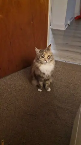 Pretty gurl