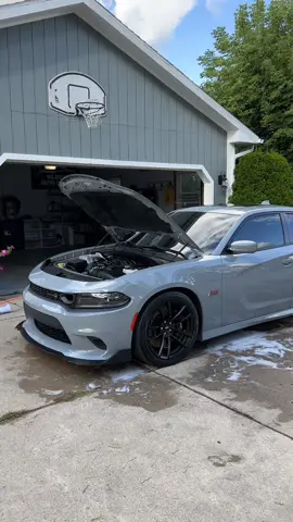 American beauty 🇺🇸🤩 @dodgeofficial @trostlemark  Scatpack came in for a  ✅Foam Bath  ✅2 Bucket hand wash method  ✅Wheels, wheel wells, and tires cleaned ✅Tires cleaned and conditioned ✅Deep vacuum ✅Door panels, dash, and console properly cleaned and conditioned ✅Windows and door jambs ✅Steam Clean ✅Free air freshener  ✅Exhaust tips polished (add on) ✅Engine bay (add on) ⌚️Mon-Sat (appointments only‼️) 📱313-525-6691 📧 axel@sleekautodetail.net 💻 sleekautodetail.net  📽️Facebook, Instagram, TikTok & YouTube @ Sleek Auto Detail #detailing #autodetailing #detailingworld #carwash #cardetailing #carcare #clean #cleancar #CleanTok 