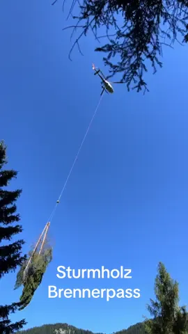 #wucherhelicopter #tirol #swisscrew #armando #ecureuilb3  #airbushelicopters #sturmholz #brenner #tirol #logging #lumberjack #brennerpass #biertransport #windwurf @joelsteiner228 @Tobias 