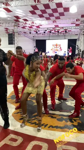Show passistas do Salgueiro ♥️ #passista #passistasdocarnaval #carnavaltiktok #carnaval2024 #show #dancer 