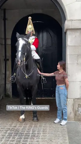 She gently pets the royal horse.  #horseguardsparade #changingoftheguards #foryoupage  #tiktokviral #viraltiktok #viralvideo #videoviral #follow #subscribe #like #share #bestvideo #fypviral #donottouch  #thekingsguards #kingsguard #kingshorse #fyp #foryou #fypシ #fanpage #tourists #London #trendinghashtag #horse 
