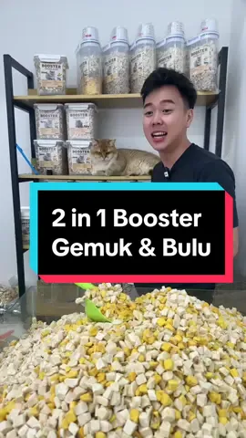 Banyak customer asyik tanya kita boleh ke campurkan booster Gemuk & Booster Bulu. Dadaaaa, kita dah ada 2 in 1 Booster. Boleh cantikkan bulu dan gemukkan kucing sekali 🥰 #makanankucing #boostergemuk #boostergemukkucing #boostergemukpremium #boostergemokviral #bulugugur #gemukkankucing 