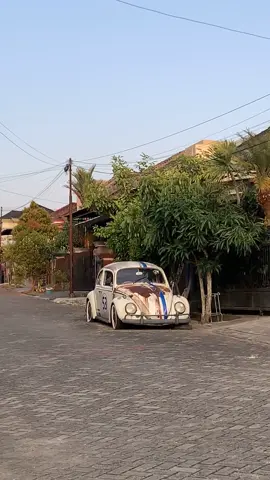 herbie 😍 #fypシ #herbiefullyloaded 