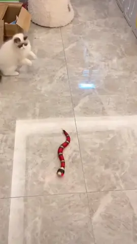 Smart sensor snake toy s-shaped moving interactive toy realistic gift cat toy
