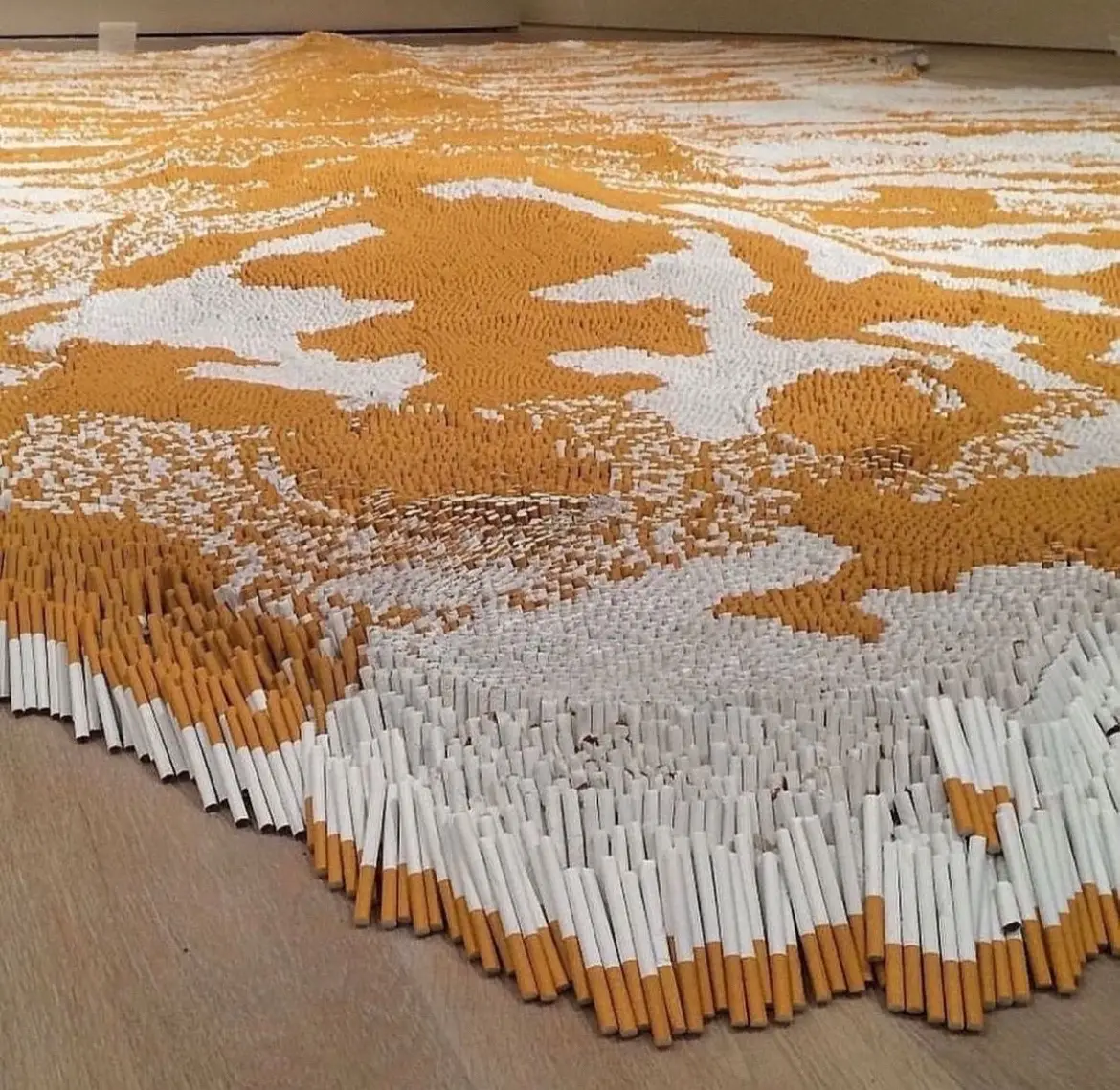 tiger rug by xu bing, made using 500,000 cigarettes #artistsoftiktok #artinstallation #cigarettes #artchallenge #rugsoftiktok #interiordesign 