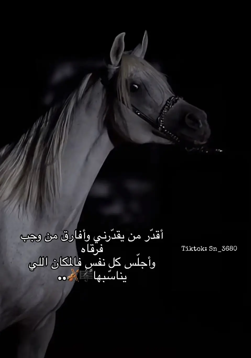 #لايك #fyp #حركة_الاكسبلور #تصميمي #تصميم #تصميم_خيل #خيل 