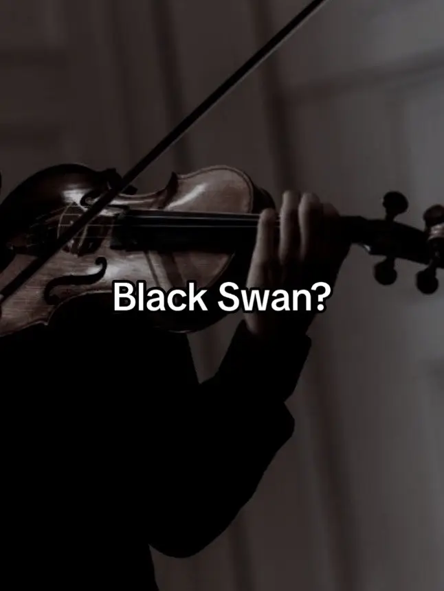 Black swan verison #blackswan #instrumental #bts #violin #royalcore #vintage #fyp