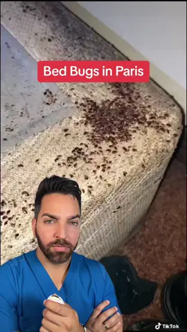 How to avoid bed bugs… @Gloss Angeles Podcast #bedbugs #paris #dermatologist #doctor #LearnOnTikTok 