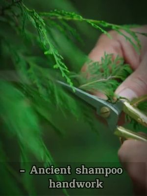 - Ancient shampoo  handwork