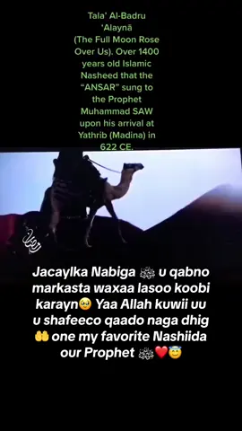 #foryou #fypシ #foryoupage #viralvideo #muslimtiktok 